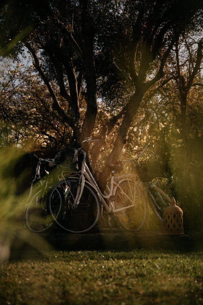 Gallery Pure Farm House