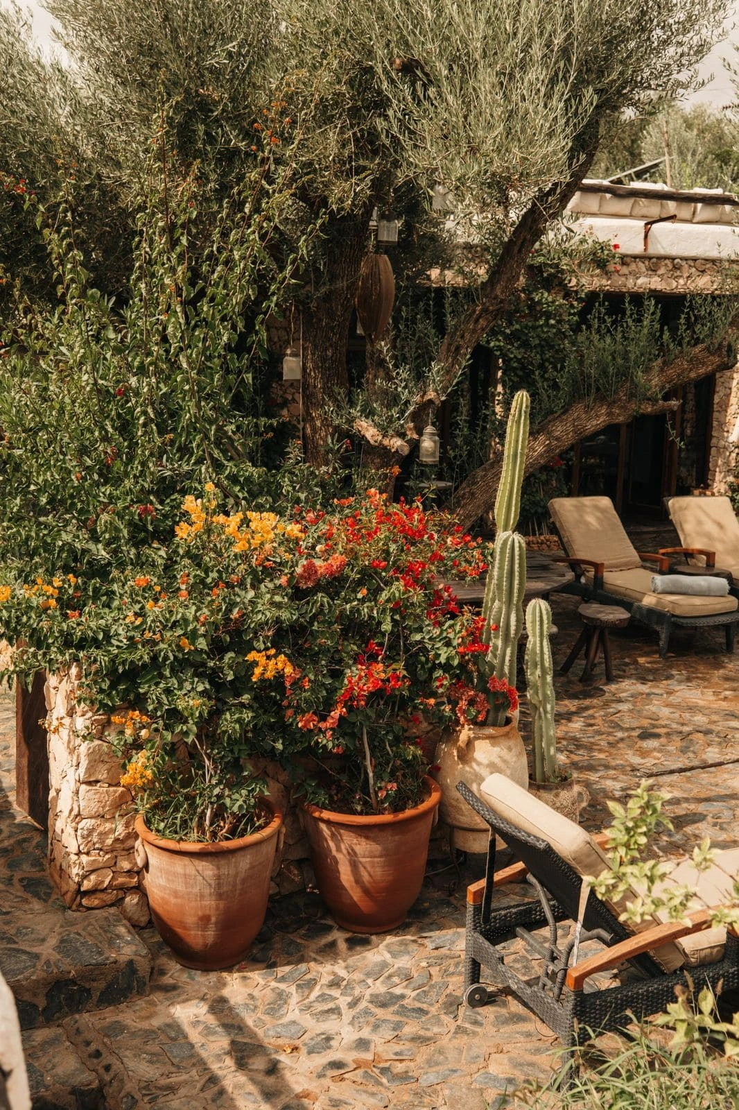 Gallery Pure Farm House