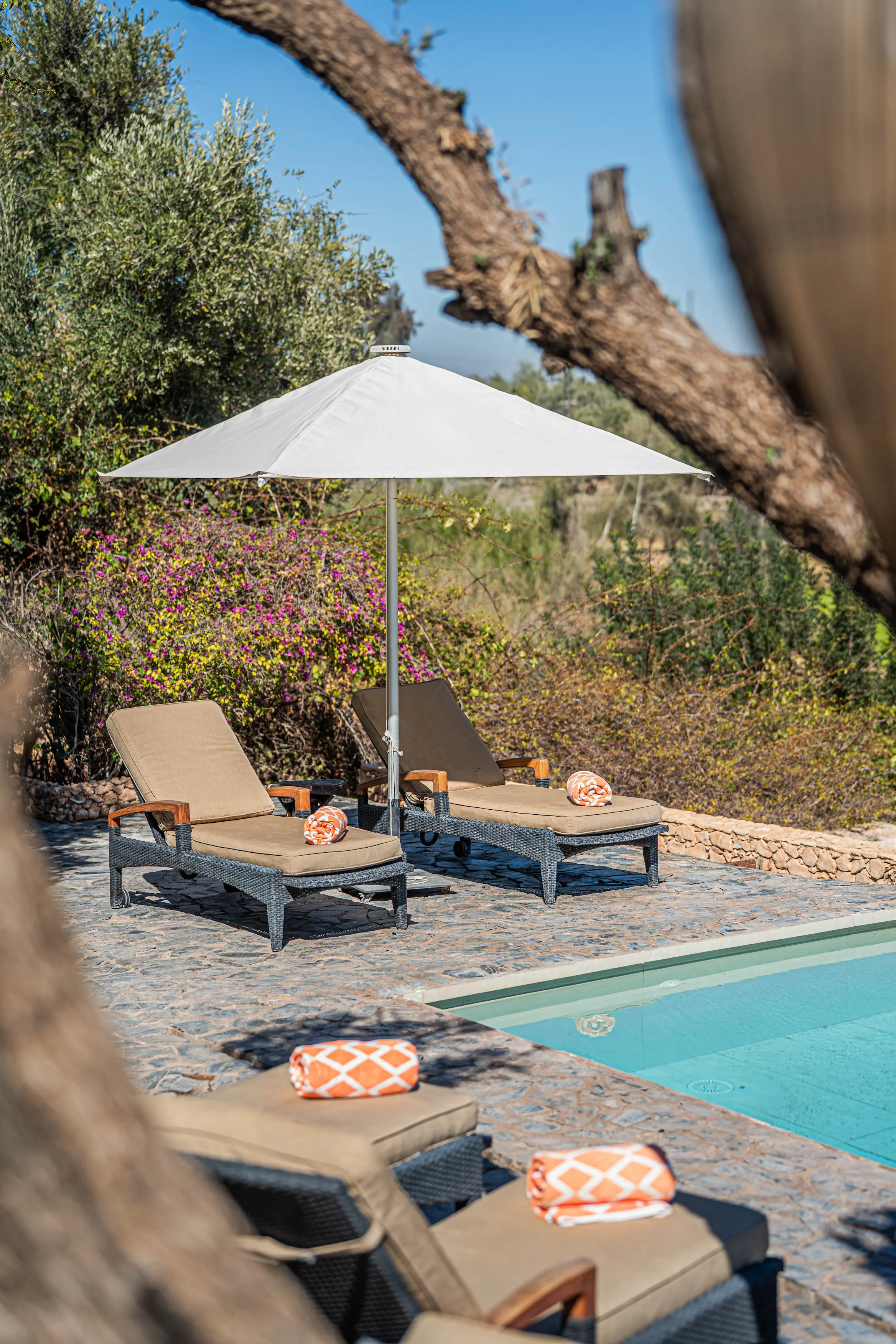 Sun loungers beside the serene pool at our Lalla Takerkoust hotel farm